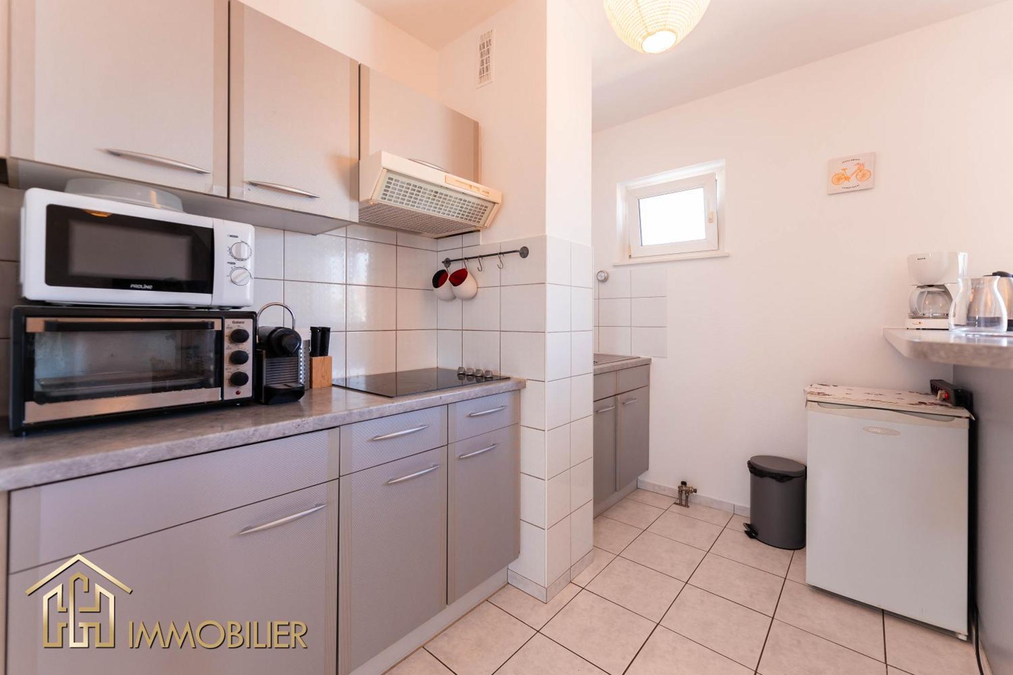 Appartement L'Orient - Parking Colmar Zewnętrze zdjęcie